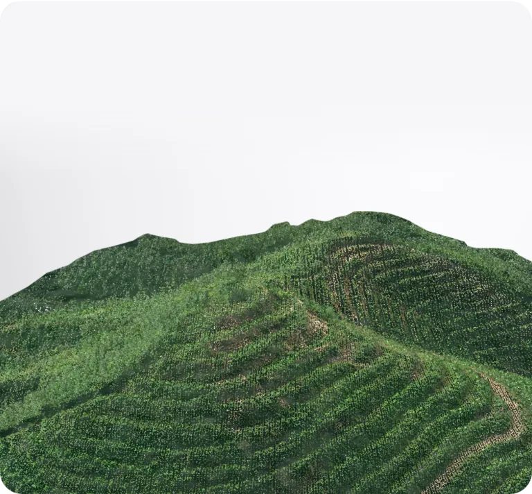 Real-Time 3D Terrain Mapping